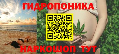 прущие крисы Аша