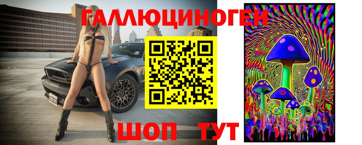 Галлюциногенные грибы GOLDEN TEACHER  Псилоцибиновые грибы Magic Shrooms  где продают наркотики  Сибай  Вход с VPN 