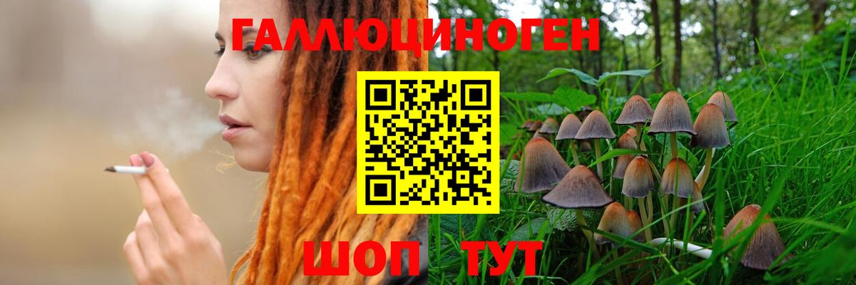 Псилоцибиновые грибы мухоморы Сибай